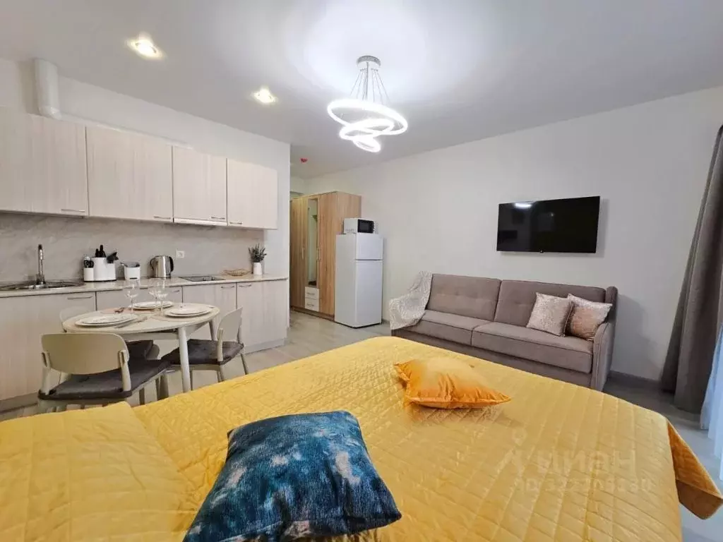 1-к кв. Краснодарский край, Сочи городской округ, Дагомыс пгт ул. ... - Фото 2