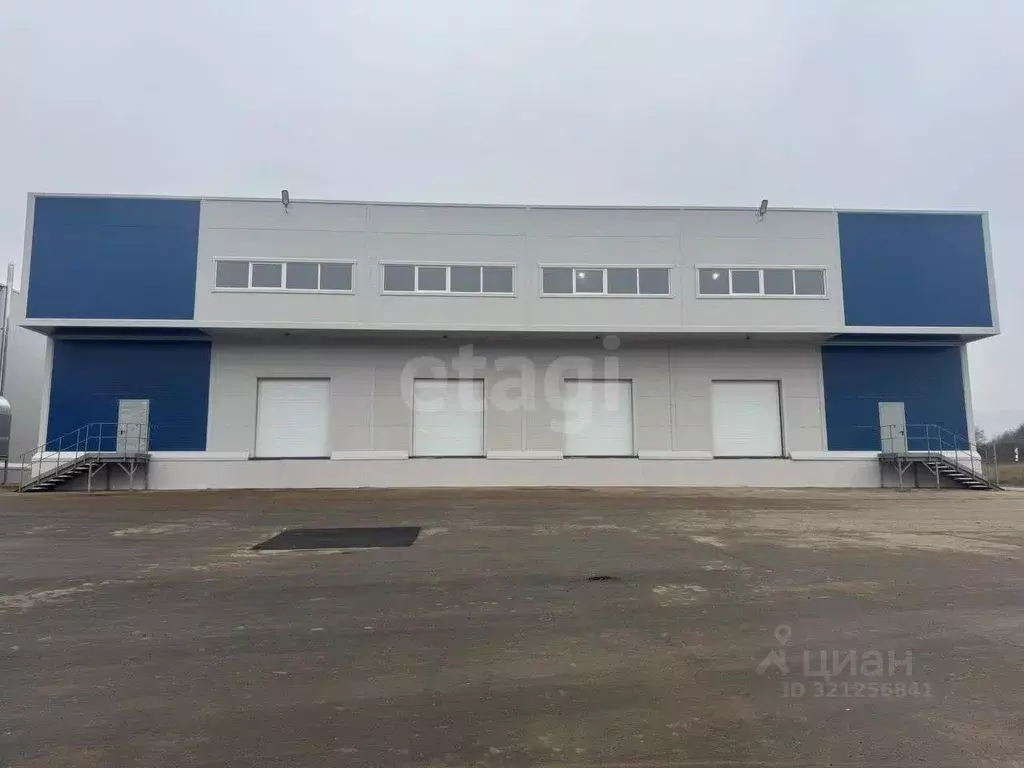 Помещение свободного назначения в Ярославская область, Ярославский ... - Фото 1