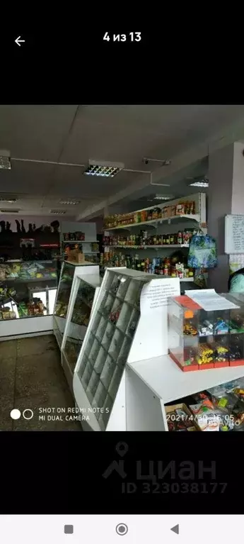 Торговая площадь в Иркутская область, Нукутский муниципальный округ, ... - Фото 2