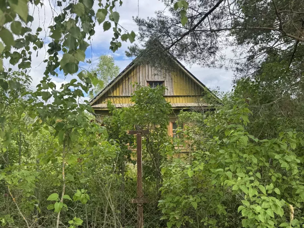 Дом в Ленинградская область, Лужский район, Толмачевское городское ... - Фото 1