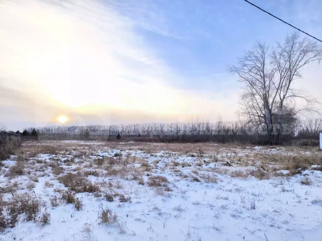 Участок в Тюменская область, Тюмень ул. Александры Круткиной (14.25 ... - Фото 1