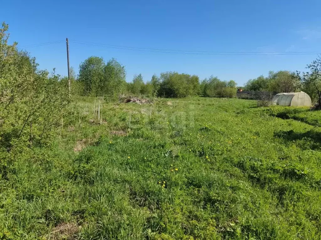 Участок в Вологодская область, Репка садоводческое товарищество  (7.82 ... - Фото 2