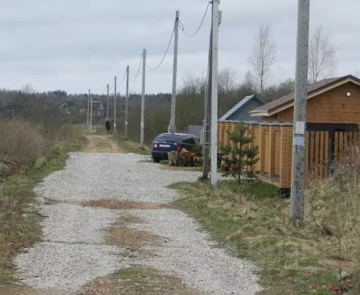 Участок в Новгородская область, Новгородский район, д. Новое Сергово  ... - Фото 0