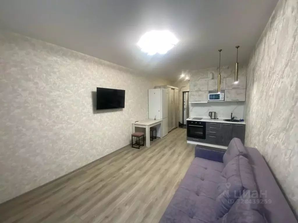 Студия Приморский край, Владивосток Стрелковая ул., 18к1 (28.0 м) - Фото 2