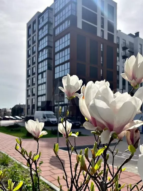 1-к. квартира, 41 м, 3/9 эт. - Фото 0