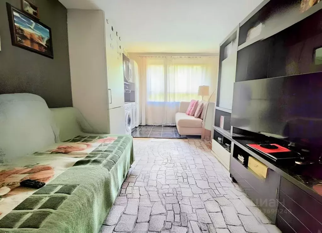 Студия Краснодарский край, Сочи ул. Тимирязева, 8 (15.1 м) - Фото 1