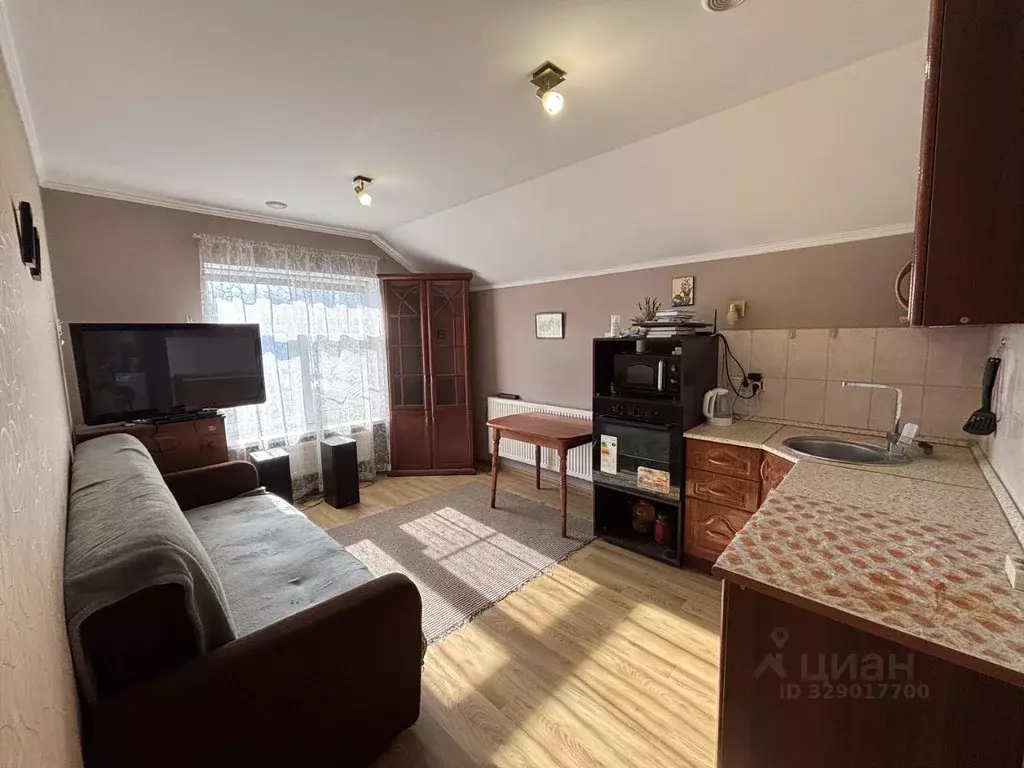 1-к кв. Московская область, Ленинский городской округ, д. Спасское 117 ... - Фото 1