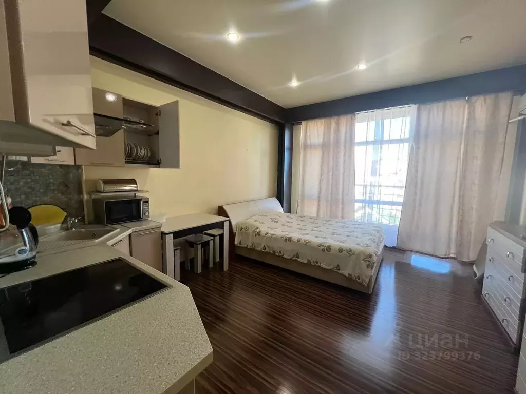 Студия Краснодарский край, Сочи ул. Полтавская, 30Б (30.0 м) - Фото 1