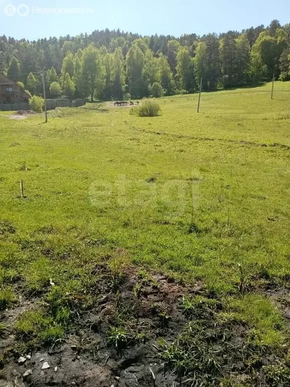 Участок в село Бирюля, Центральная улица (2000 м) - Фото 1