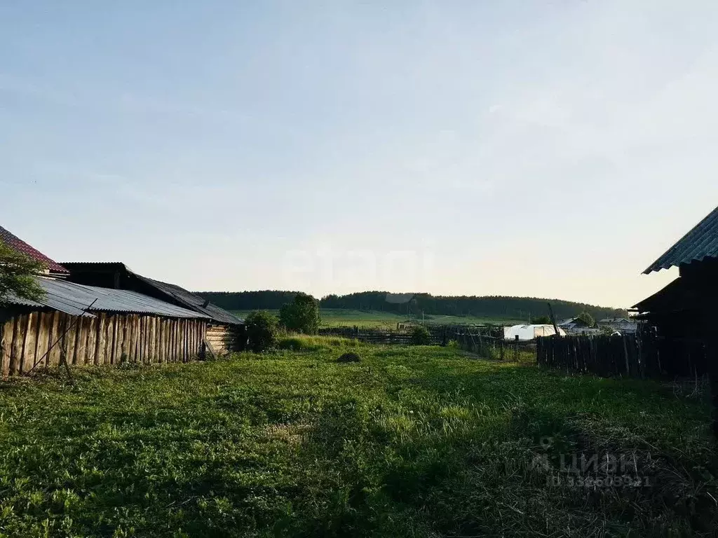 Участок в Иркутская область, Иркутский муниципальный округ, д. ... - Фото 1