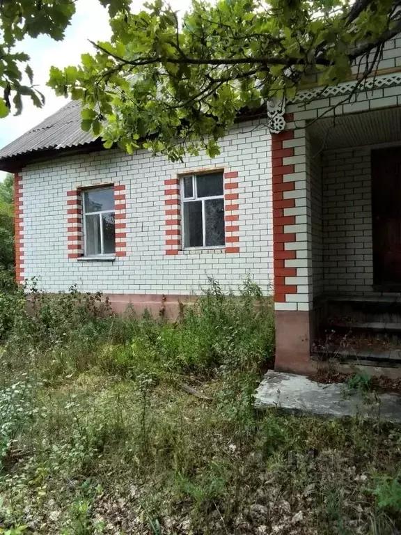 Помещение свободного назначения в Пензенская область, Камешкирский ... - Фото 0