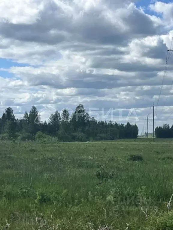 Участок в Тюменская область, Тюменский район, с. Борки  (33.54 сот.) - Фото 0