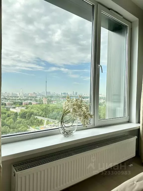 Студия Москва ул. 1-я Леонова, 18 (28.0 м) - Фото 2