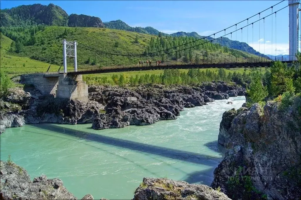 Участок в Алтай, Чемальский район, с. Ороктой ул. Новая (100.0 сот.) - Фото 0