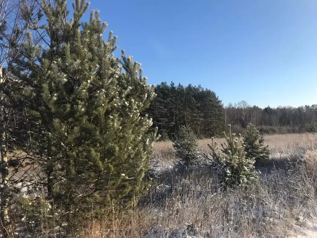 Участок в Московская область, Ступино городской округ, с. Семеновское  ... - Фото 1