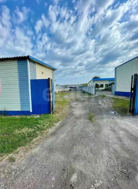 Помещение свободного назначения в Белгородская область, Поселок ... - Фото 1