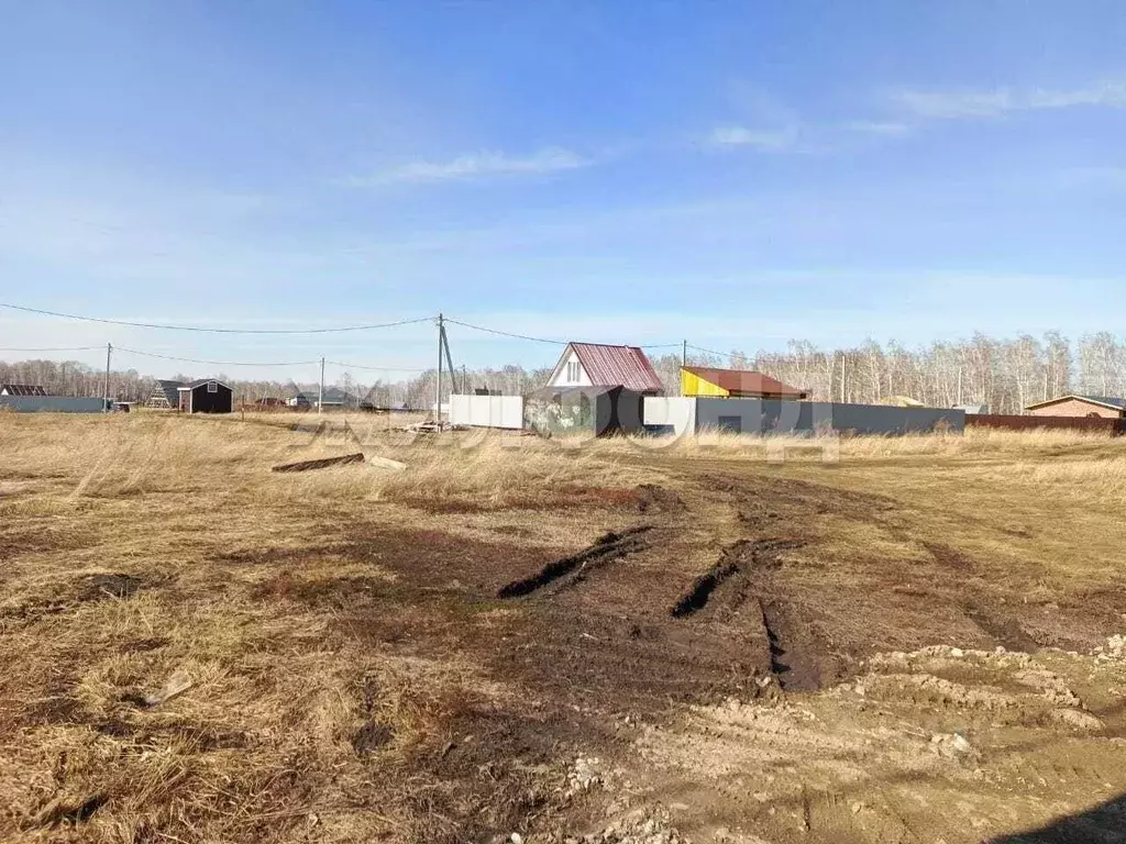 Участок в Новосибирская область, Новосибирский район, Морской ... - Фото 2