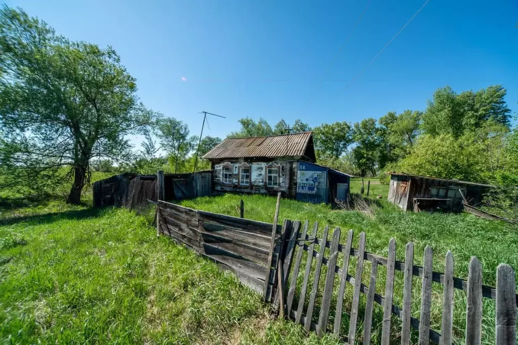 Дом в Алтайский край, Бийск Озерная ул. (21 м) - Фото 0