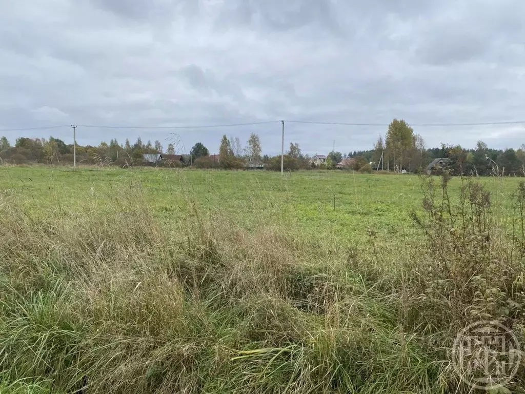 Участок в Ленинградская область, Приозерский район, Ромашкинское ... - Фото 1