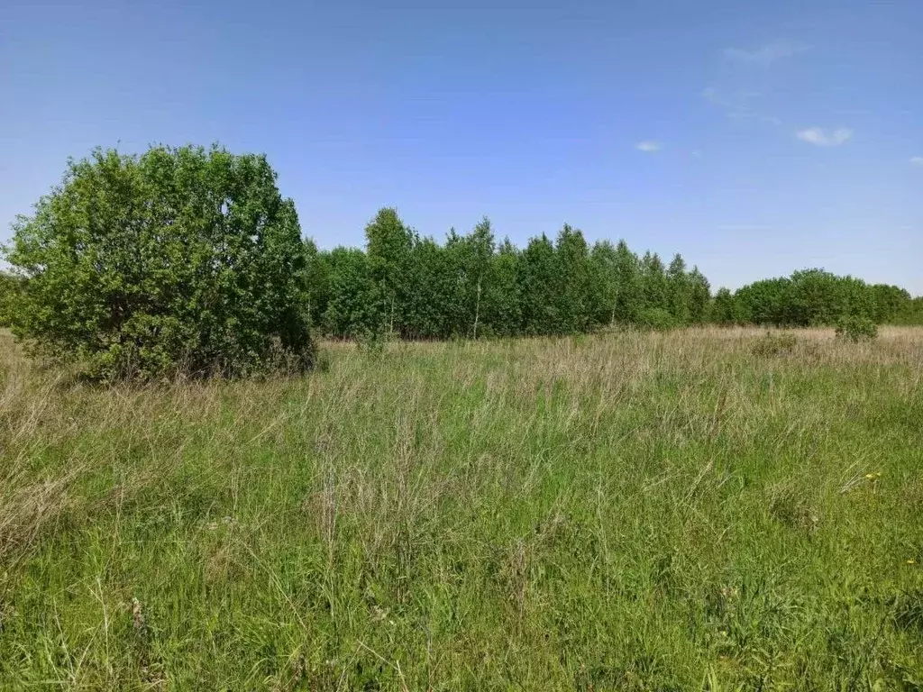 Участок в Нижегородская область, Богородский муниципальный округ, с. ... - Фото 1