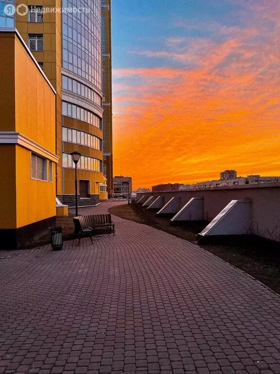 3-комнатная квартира: Санкт-Петербург, проспект Просвещения, 43 (115 ... - Фото 1