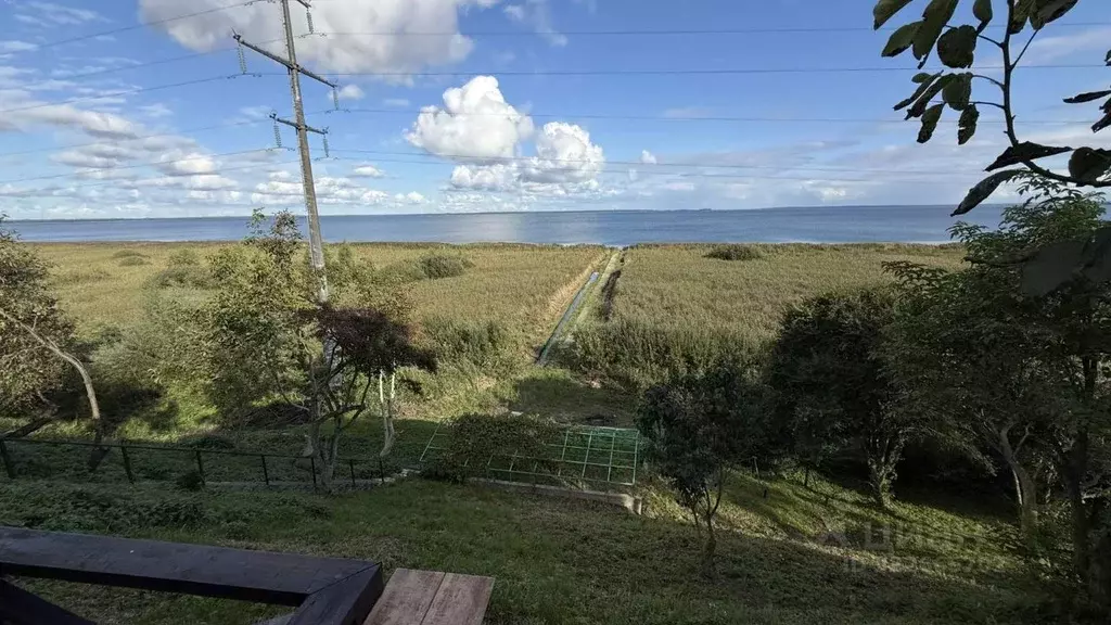 Участок в Калининградская область, Балтийск Труд СНТ, ул. Прибрежная ... - Фото 1