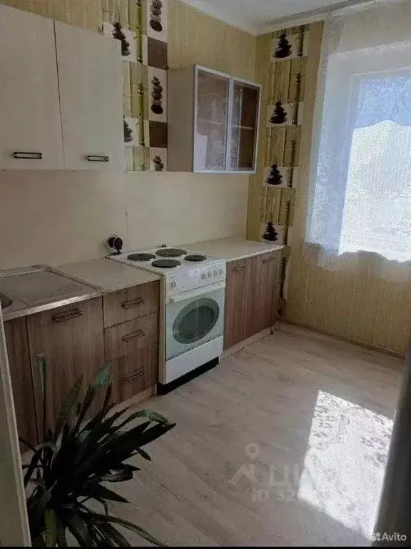 1-к кв. Омская область, Омск ул. Димитрова, 71/1 (34.0 м) - Фото 0