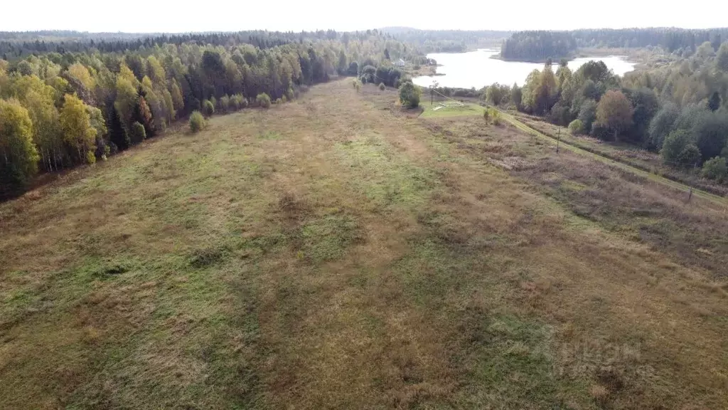 Участок в Карелия, Питкярантский район, Харлуское с/пос  (59.99 сот.) - Фото 1