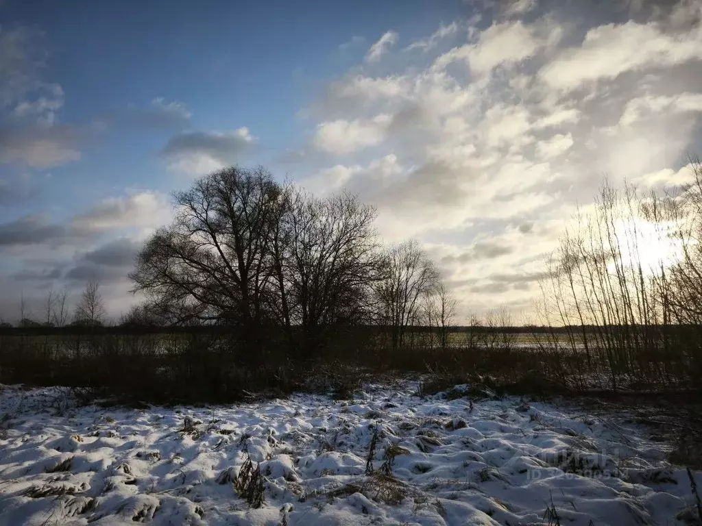 Дом в Владимирская область, Собинский муниципальный округ, д. Елховица ... - Фото 2