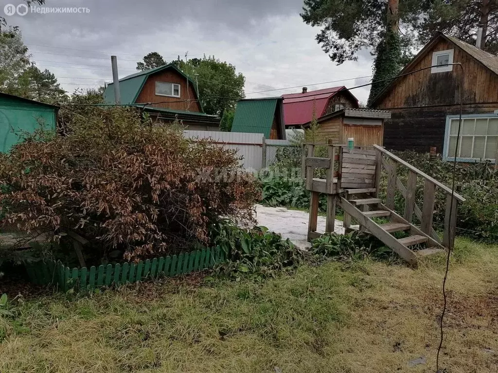 Участок в Новосибирский район, Берёзовский сельсовет, НСТ Берёзка-2 ... - Фото 0