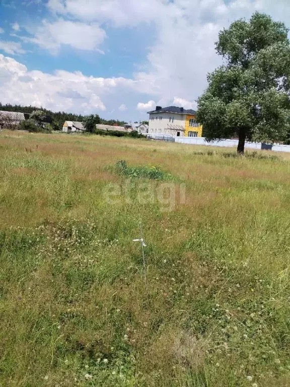 Участок в Воронежская область, Воронеж ул. Пятилетка, 29 (8.0 сот.) - Фото 0