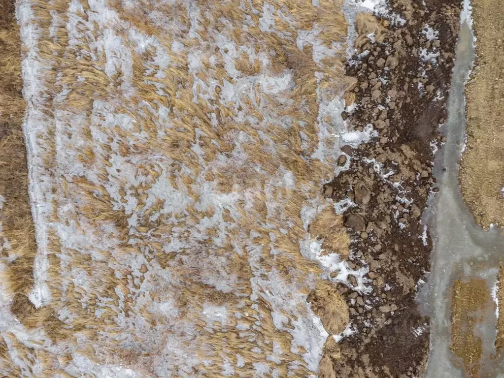 Участок в Хабаровский край, Хабаровский район, Тополевское с/пос, с. ... - Фото 2