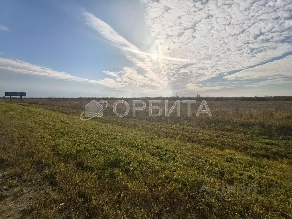 Участок в Тюменская область, Тюменский муниципальный округ, с. Борки  ... - Фото 0