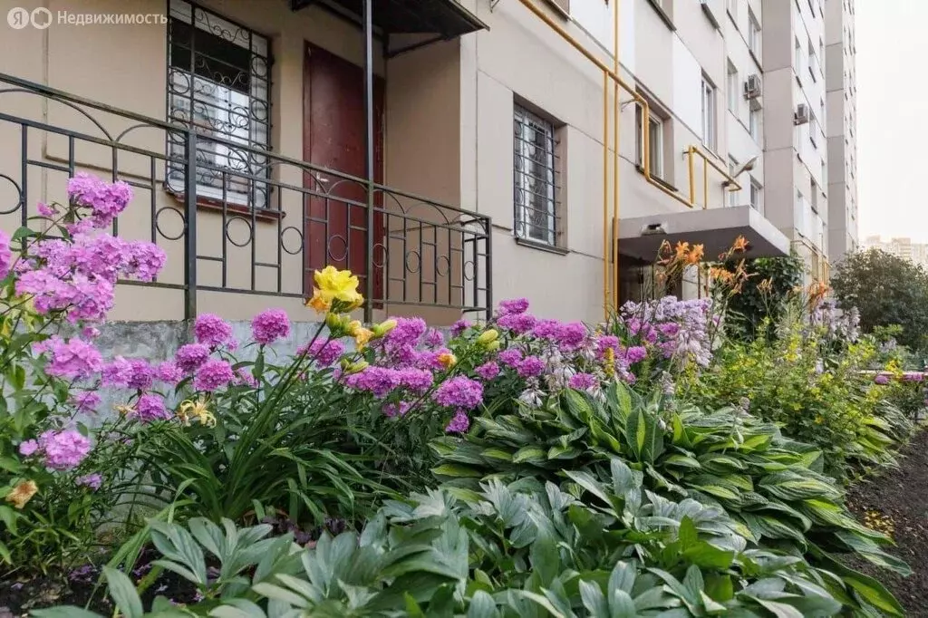 1-комнатная квартира: посёлок Шушары, Пушкинская улица, 48 (41 м) - Фото 1