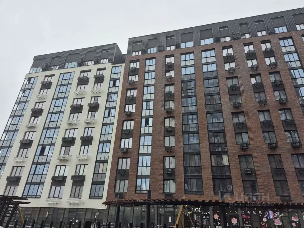 1-к кв. Воронежская область, Воронеж ул. 121-й Стрелковой Дивизии, 9 ... - Фото 2