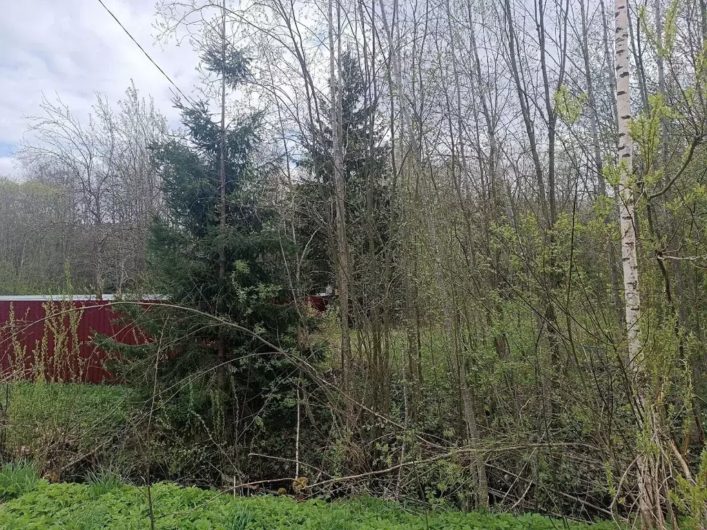 Участок в Новгородская область, Новгородский район, Ермолинское с/пос, ... - Фото 0