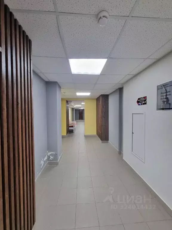 Офис в Ярославская область, Ярославль просп. Фрунзе, 77А (17 м) - Фото 2