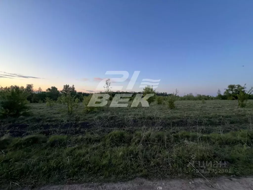 Участок в Курская область, Курский район, Клюквинский сельсовет, д. ... - Фото 1