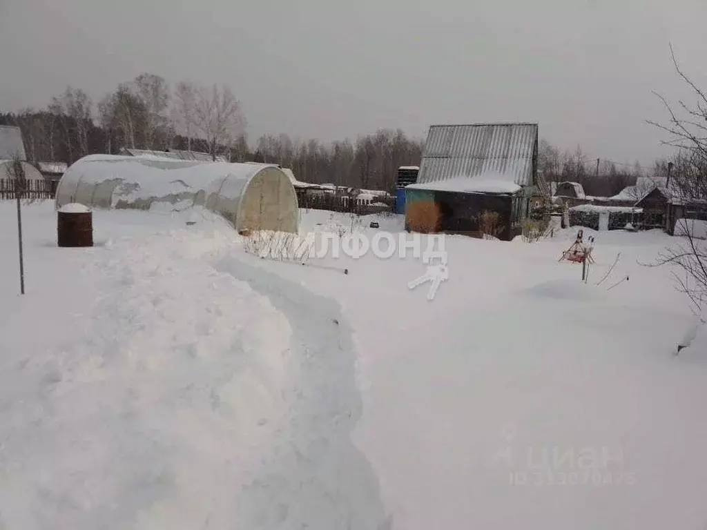 Дом в Новосибирская область, Новосибирск Любитель СНТ,  (30 м) - Фото 1