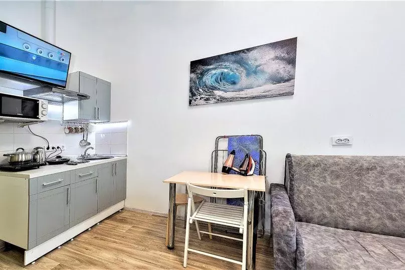 2-к кв. Новосибирская область, Новосибирск ул. Гоголя, 235/1 (28.0 м) - Фото 1