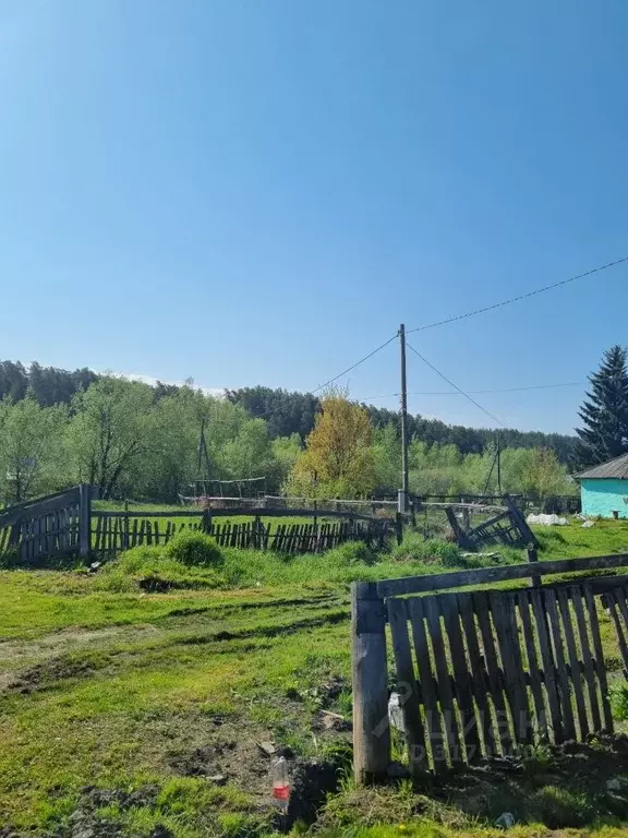 Участок в Алтайский край, Барнаул городской округ, Поселок Борзовая ... - Фото 0