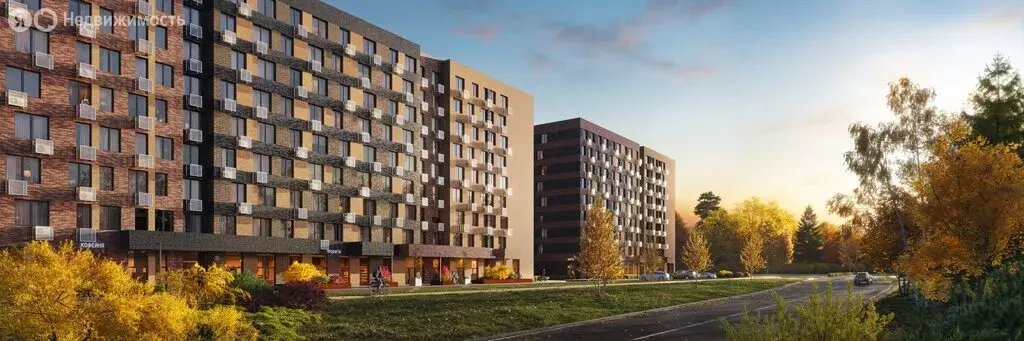 Квартира-студия: посёлок Светлые Горы, 3 (21.8 м) - Фото 0
