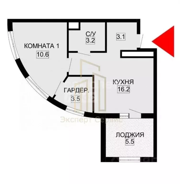 1-к кв. Санкт-Петербург Алтайская ул., 39 (37.36 м) - Фото 2