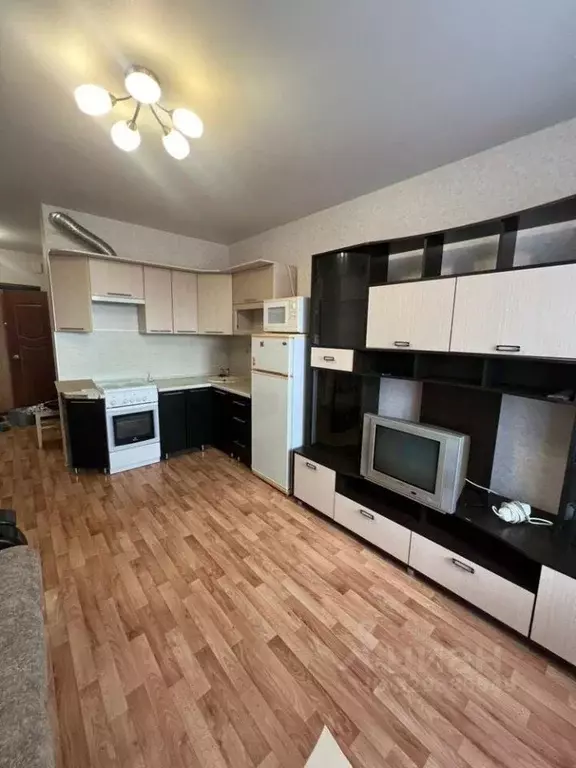 Студия Пензенская область, Пензенский район, Засечный сельсовет, с. ... - Фото 2