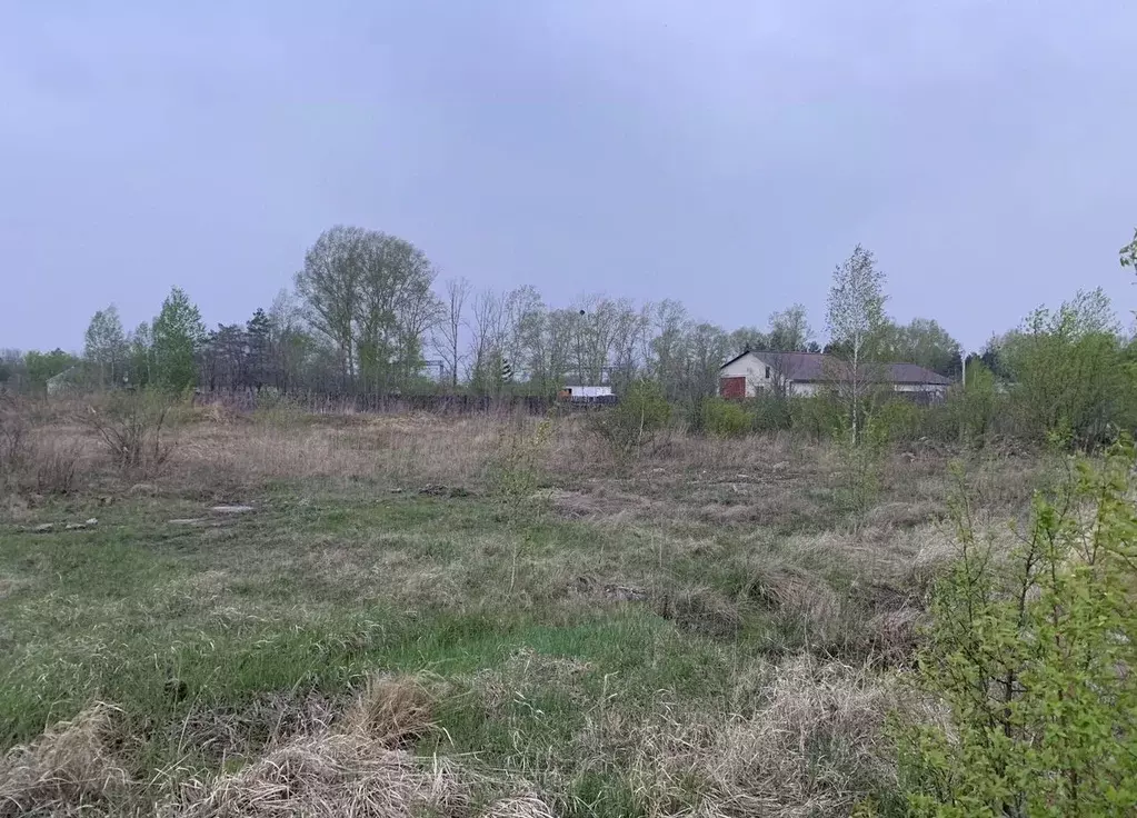 Участок в Амурская область, Серышево пгт  (15.0 сот.) - Фото 2