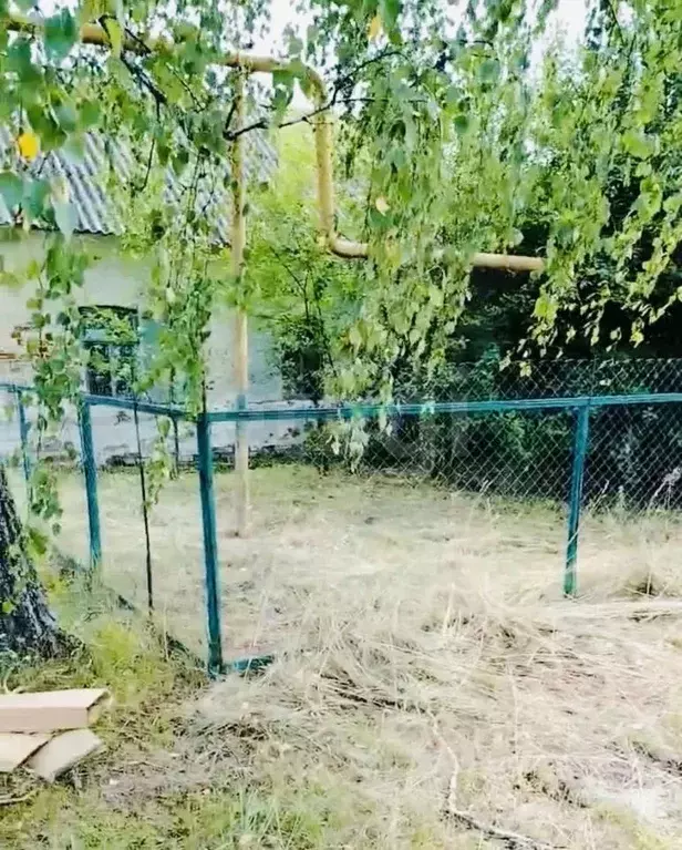 Дом в Тамбовская область, Сосновский муниципальный округ, с. ... - Фото 1