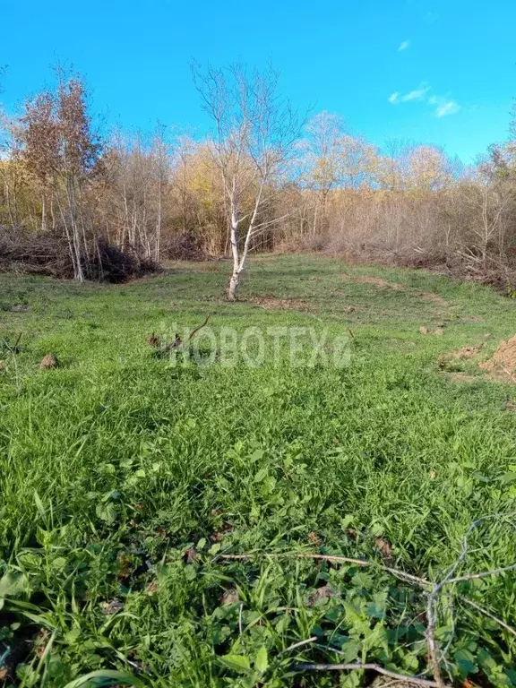 Участок в Краснодарский край, Северский район, Азовское с/пос, ... - Фото 1