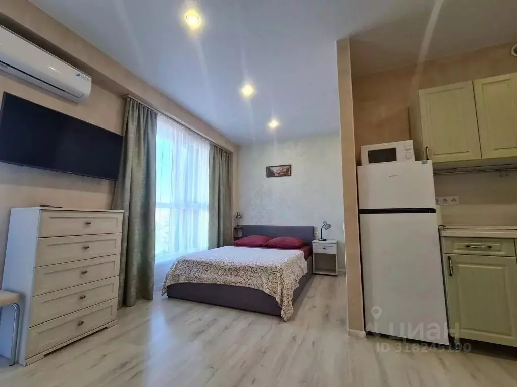 1-к кв. Краснодарский край, Сириус пгт ул. Цветочная, 30 (28.0 м) - Фото 1