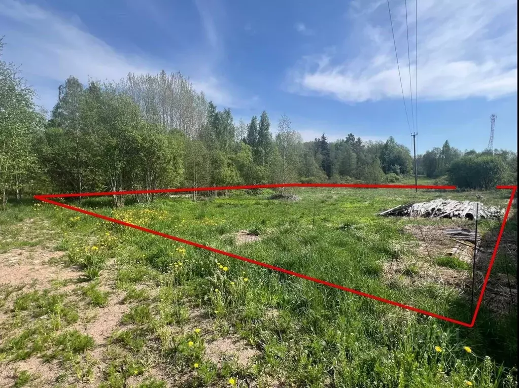 Участок в Ленинградская область, Приозерский район, Мельниковское ... - Фото 1