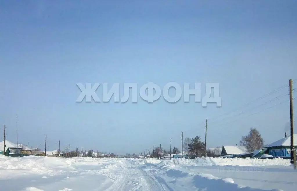 Участок в Новосибирская область, Ордынский район, с. Кирза ... - Фото 2